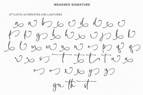 Weaknes Signature | Handwritten Font Font Rotterlab studio 