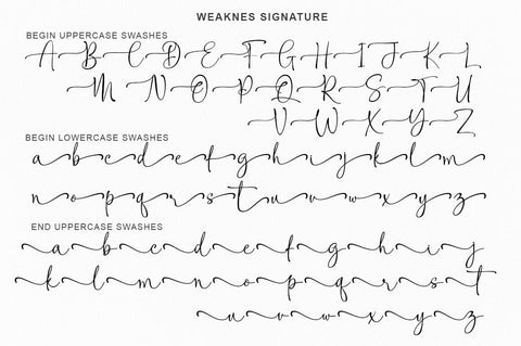 Weaknes Signature | Handwritten Font Font Rotterlab studio 