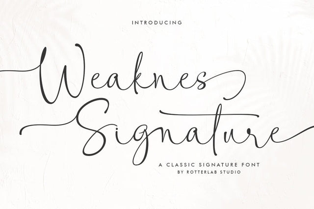 Weaknes Signature | Handwritten Font Font Rotterlab studio 