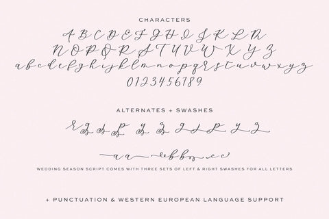 Wedding Season Script Font Beck McCormick 