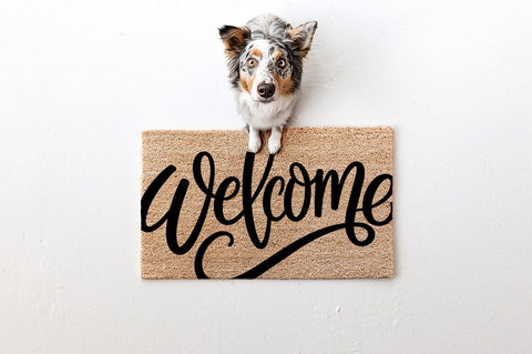 Welcome SVG Script | Front Door Sign Cut File SVG Pickled Thistle Creative 