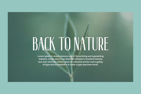 Wendy's Monday - Modern Serif Font studioalmeera 