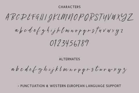 Westerburg Script Font Font Beck McCormick 