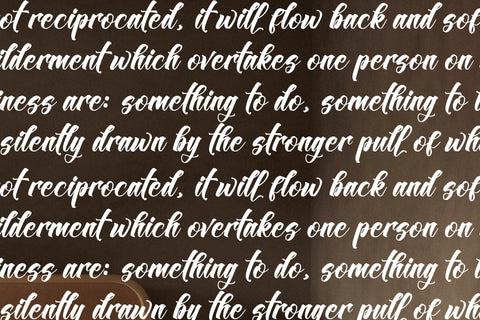 Westron Rotterika - Modern Calligraphy Font Font Letterena Studios 