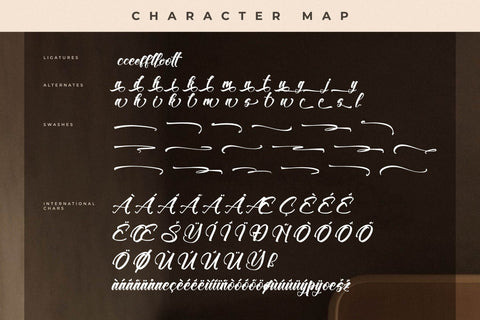 Westron Rotterika - Modern Calligraphy Font Font Letterena Studios 