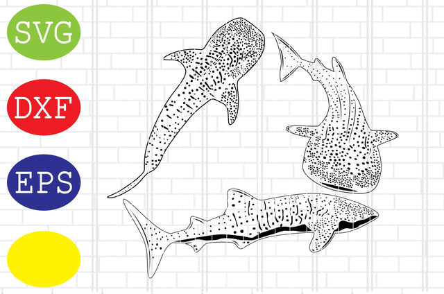 Whale Shark Outline, Ocean Animal Svg, Marine Life Svg, Jpg, Eps, Dxf Files SVG DigitalSvgFiles 