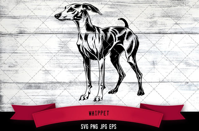 Whippet SVG, Dog SVG, Logo - Digital Download with Commercial License for Cricut, Silhouette, Scan N Cut Crafting SVG Loveleen Kaur 