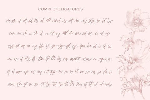 Whiskey Girl Signature Script Font Beck McCormick 