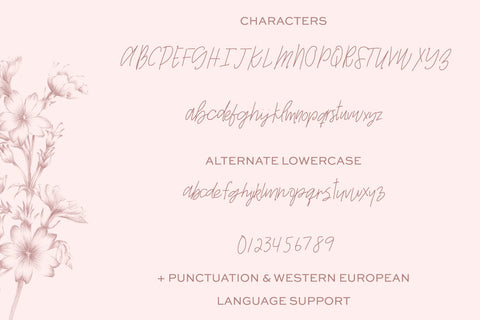 Whiskey Girl Signature Script Font Beck McCormick 