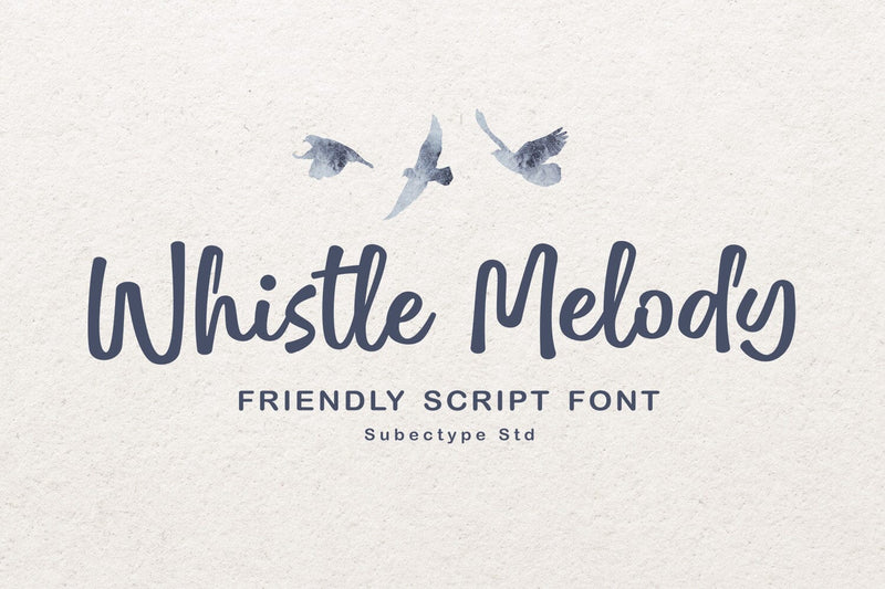 Whistle Melody - Fun Script Font Font Subectype Studio 
