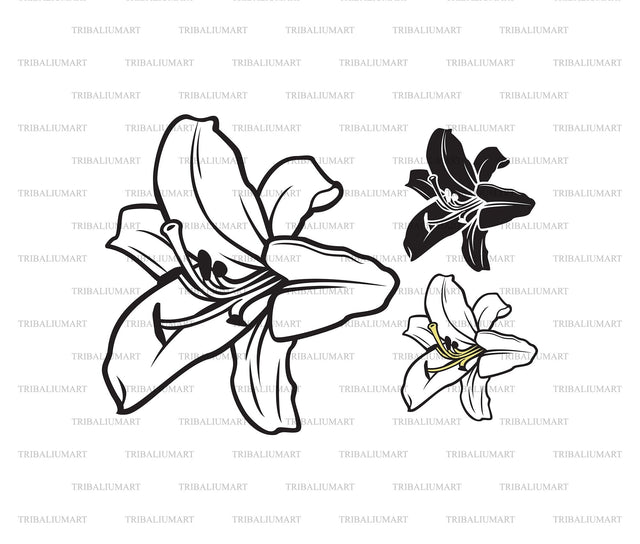 White Lily Flower SVG TribaliumArtSF 