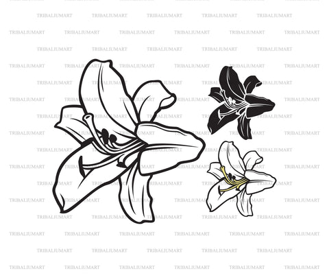 lily flower svg White Lily Flower. Cut files for Cricut. Clip Art silhouette (eps, svg, pdf, png, dxf, jpeg)