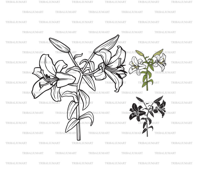 White Lily Flower SVG TribaliumArtSF 