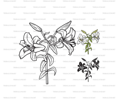 White Lily Flower SVG TribaliumArtSF 