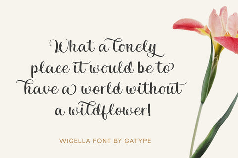 Wigella Font gatype 