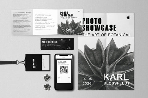 Wighan - Bold & Modern Sans Font studioalmeera 