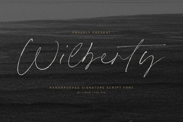 Wilberty - Handbrushed Signature Script Font Font Timur type 