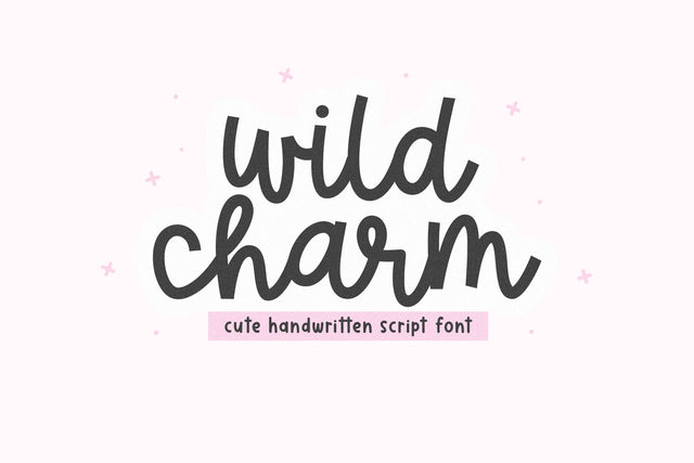 Wild Charm - Cute Script Font Font KA Designs 