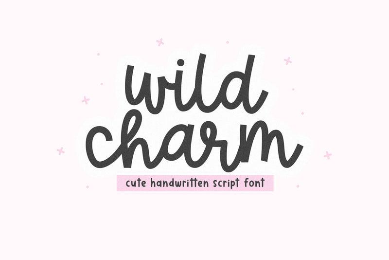Wild Charm - Cute Script Font Font KA Designs 
