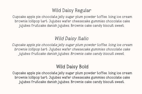 Wild Daisy Font Cotton White Studio 