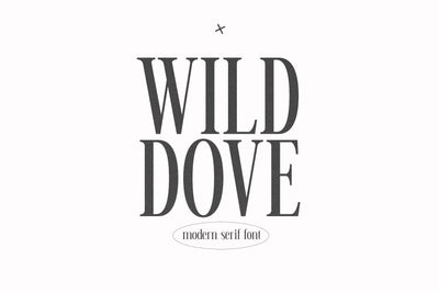 Wild Dove - Edgy Serif Font Font KA Designs 