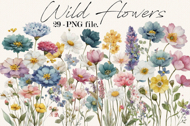 Wild Flowers, Butterflies and Dragonfly Clipart Bundle. Sublimation SVGArt 
