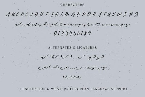 Wild Honey Script Font Font Beck McCormick 