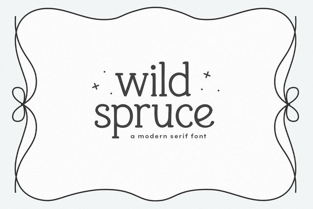 Wild Spruce - Handwritten Serif Font Font KA Designs 