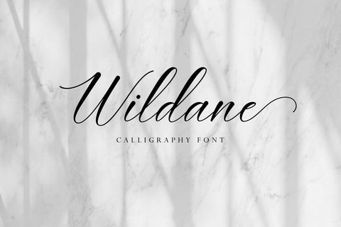 Wildane Script Font Fadeline Std. 