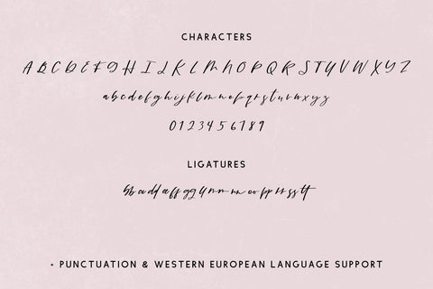 Wildblossom Script Font Beck McCormick 