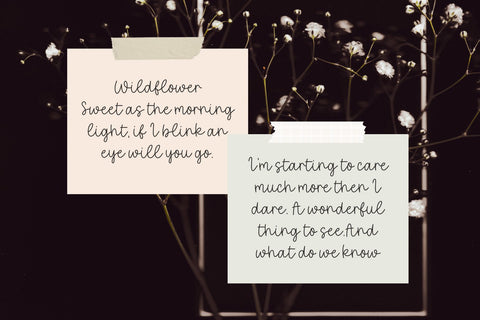 Wildflower Font Cotton White Studio 