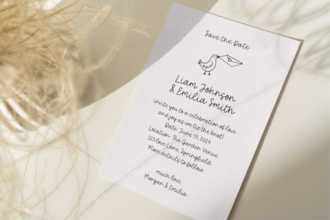 Wildflower Font Cotton White Studio 