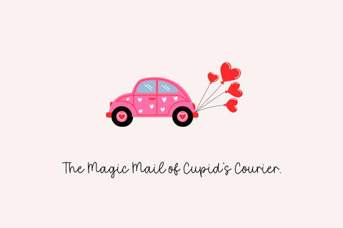 Wildflower Font Cotton White Studio 