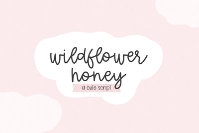 Wildflower Honey Script Font Beck McCormick 