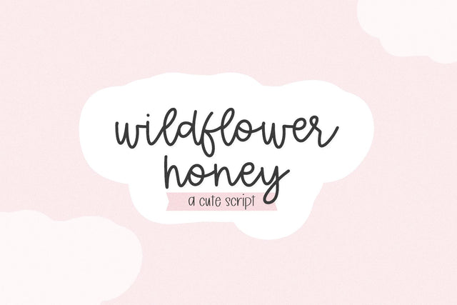 Wildflower Honey Script Font Beck McCormick 