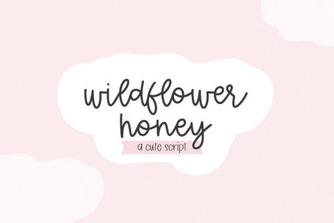 Wildflower Honey Script Font Beck McCormick 