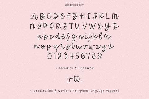 Wildflower Honey Script Font Beck McCormick 