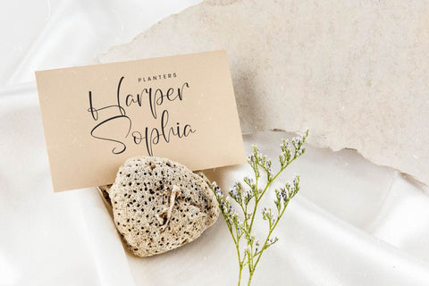 Wildlife Nature - Freestyle Stylish Font Font Letterena Studios 