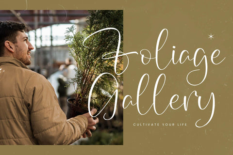 Wildlife Nature - Freestyle Stylish Font Font Letterena Studios 