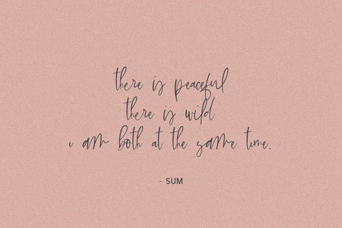 Wildmaker Script Font Beck McCormick 