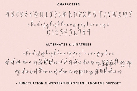 Wildmaker Script Font Beck McCormick 