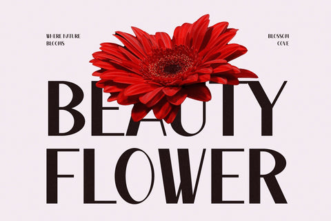 Wilhen - Modern Sans Serif Font studioalmeera 