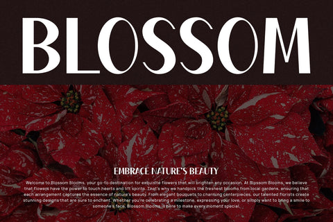 Wilhen - Modern Sans Serif Font studioalmeera 