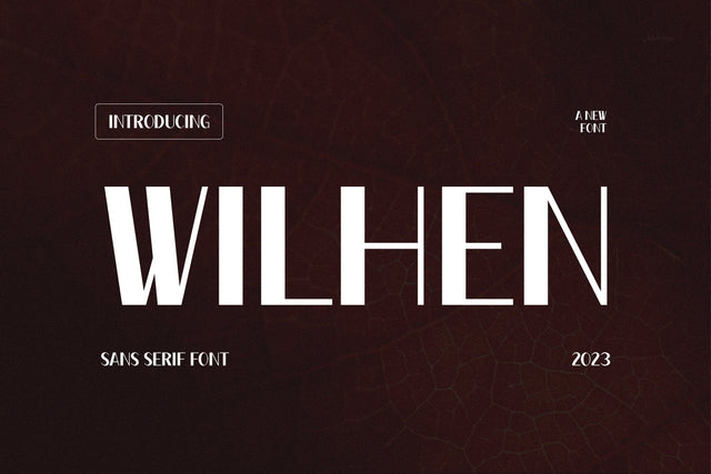Wilhen - Modern Sans Serif Font studioalmeera 