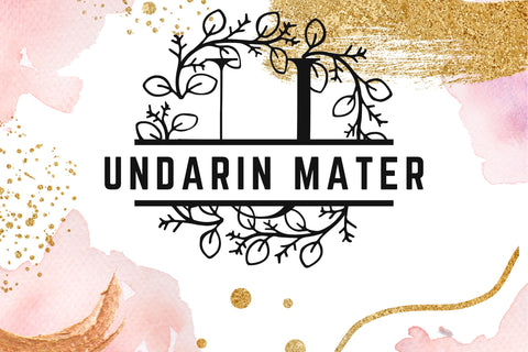 Willow Crown Split Monogram Font Dm Letter Studio 