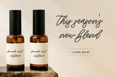 Willowbrook Script Font Beck McCormick 