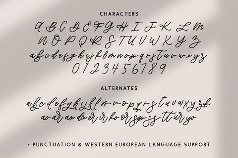 Willowbrook Script Font Beck McCormick 