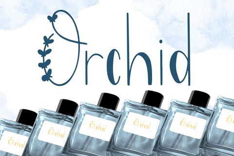 Willowette Font Font Dm Letter Studio 