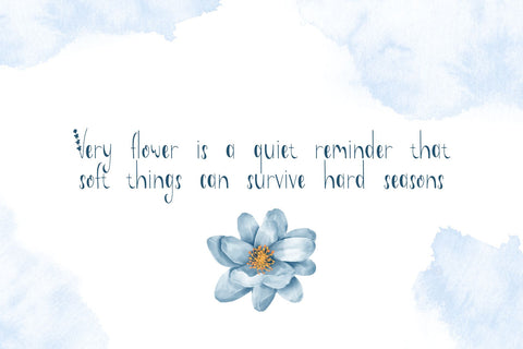 Willowette Font Font Dm Letter Studio 