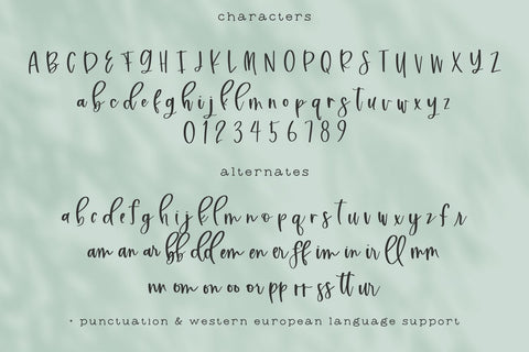 Willowish Modern Calligraphy Font Font Beck McCormick 